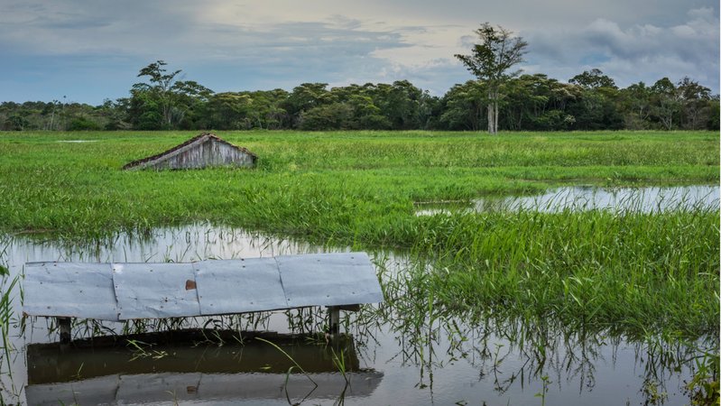 Überschwemmte Felder und Hütten am Solimoes Fluss - Amazonas. El Niño und La Niña bringen das Wetter entlang des tropischen Pazifiks durcheinander. Weil sich Luft- und Meeresströmungen ändern, kommt es weltweit zu Extremwetterlagen. | Bild: Getty Images/Wochit Überschwemmte Felder und Hütten am Solimoes Fluss - Amazonas. El Niño und La Niña bringen das Wetter entlang des tropischen Pazifiks durcheinander. Weil sich Luft- und Meeresströmungen ändern, kommt es weltweit zu Extremwetterlagen.
