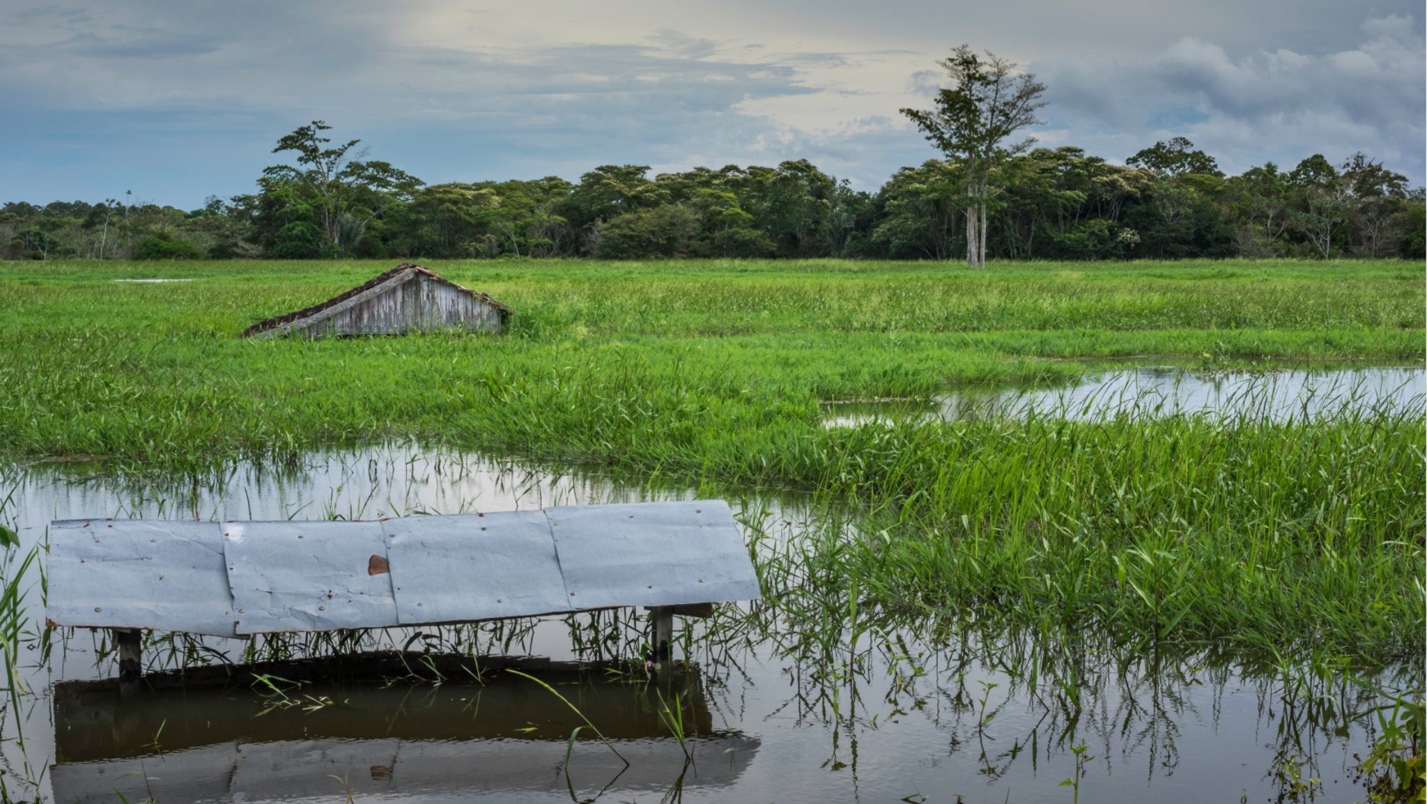 Überschwemmte Felder und Hütten am Solimoes Fluss - Amazonas. El Niño und La Niña bringen das Wetter entlang des tropischen Pazifiks durcheinander. Weil sich Luft- und Meeresströmungen ändern, kommt es weltweit zu Extremwetterlagen. 