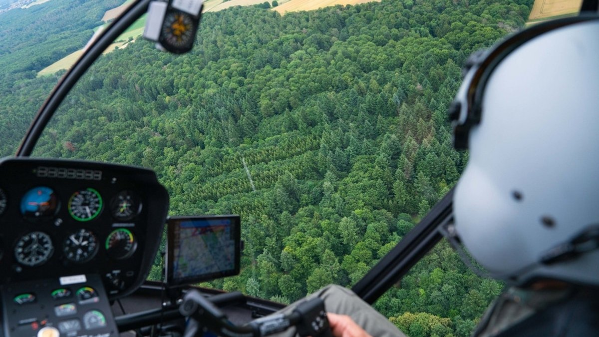 Ein Pilot blickt aus seinem Hubschrauber nach draußen auf einen Wald (Symbolbild).