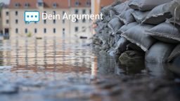 Hochwasser in Regensburg von Anfang Juni 2024.  | Bild:dpa-Bildfunk/Sven Hoppe