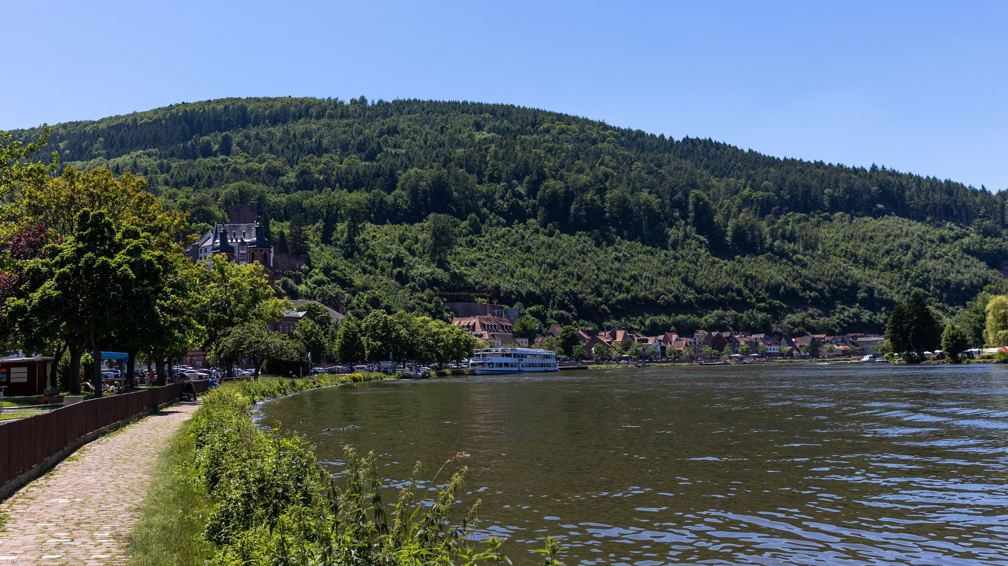 Der Main bei Miltenberg