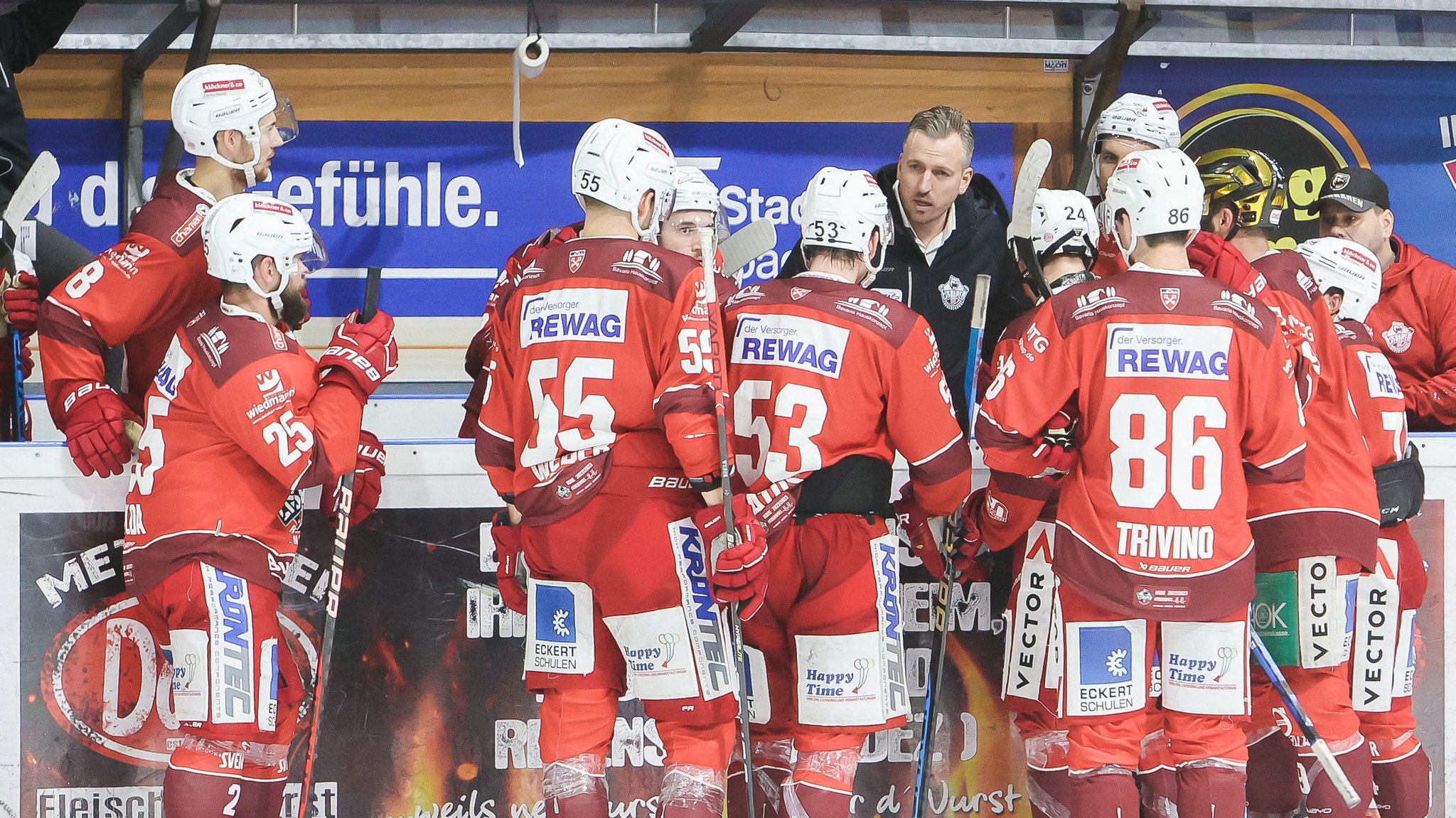 Die Eisbären Regensburg empfangen den EV Landshut