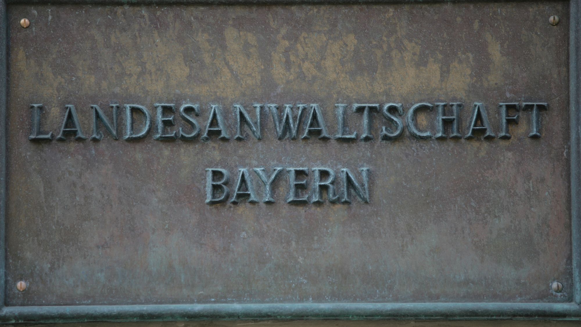 Sie sucht ihn zwiesel