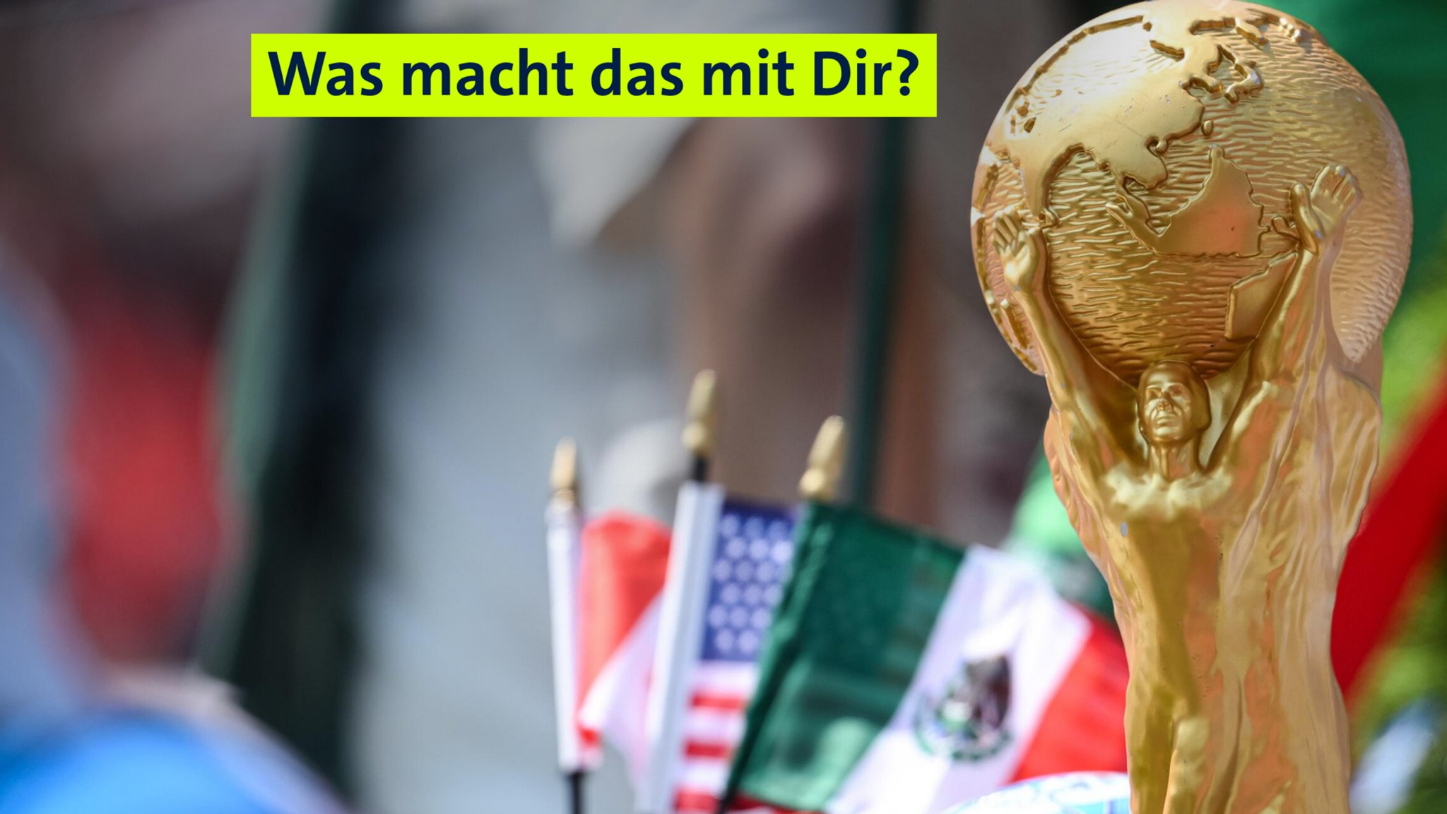 Nur geringe Vorfreude auf die WM - Warum ist das so?