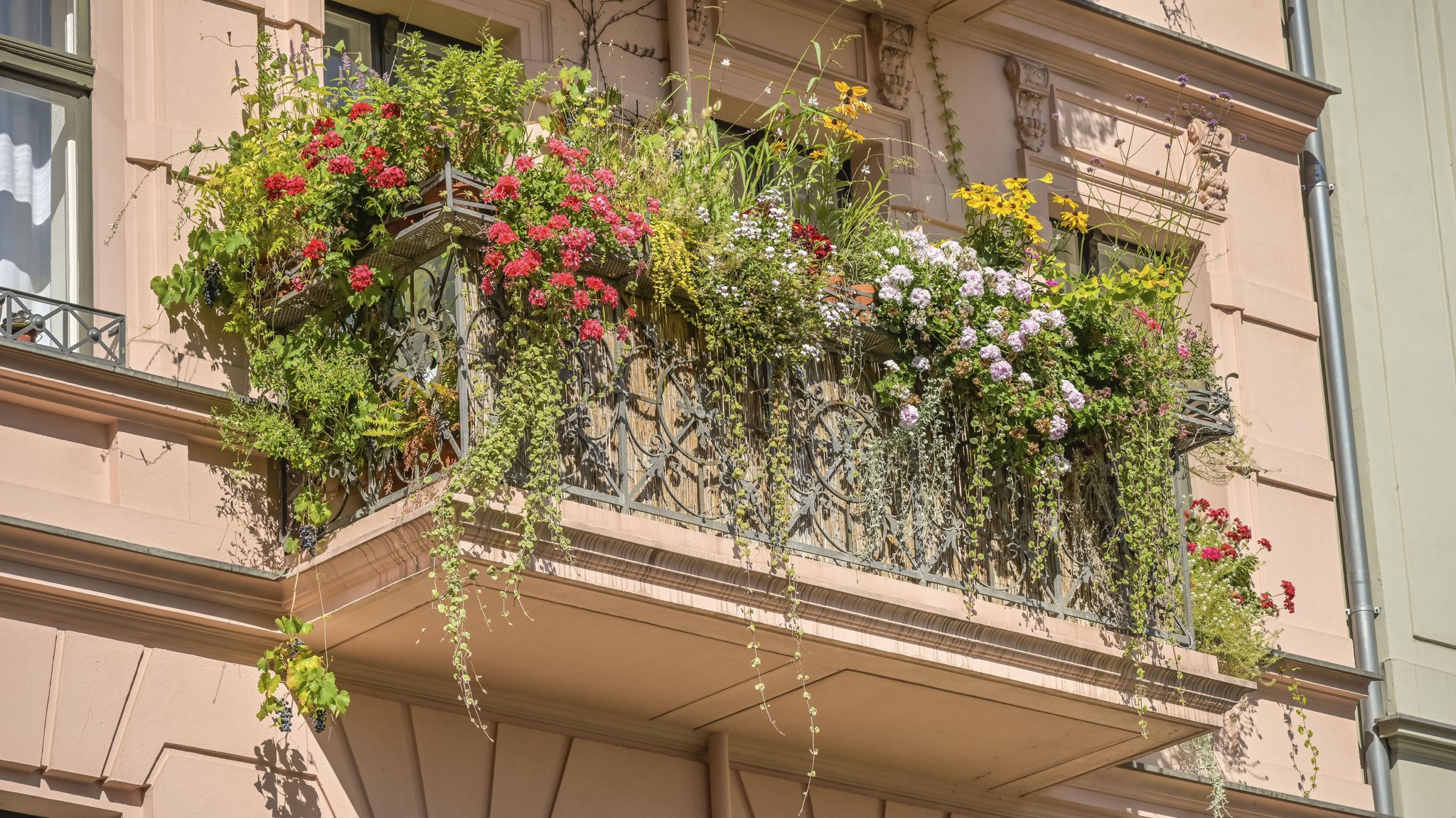 Hier lässt es sich leben: Balkon in Berlin