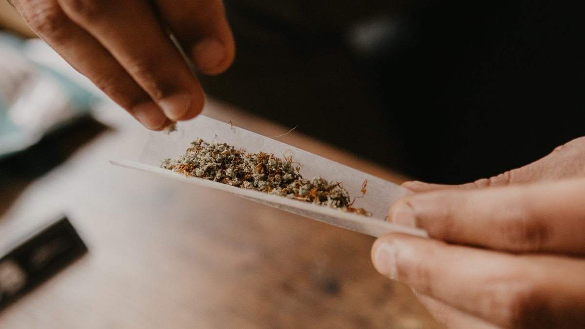 Oberpfälzer Cannabis-Verein gibt erste Ernte an Mitglieder ab