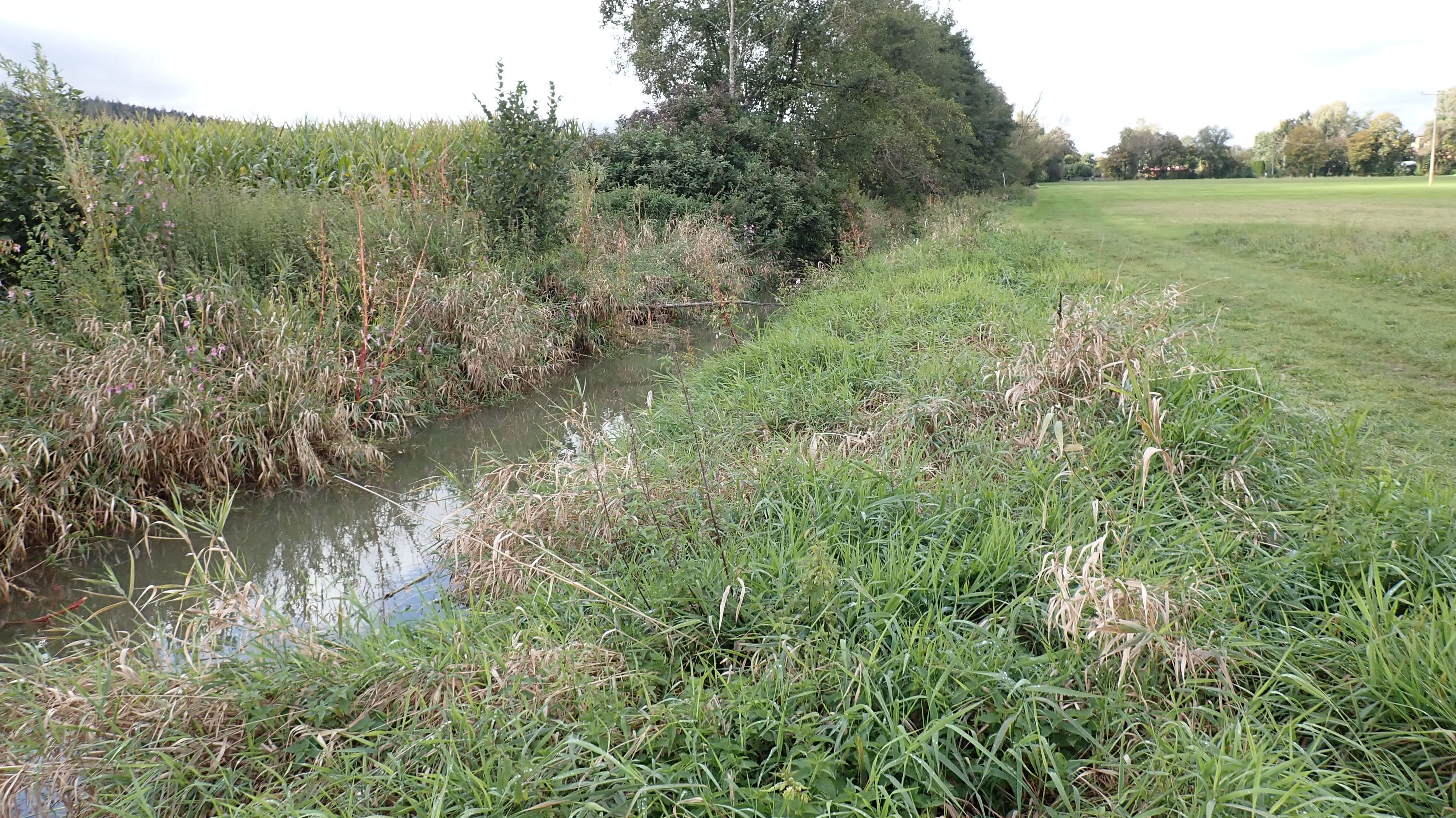Fischer Stoppen Bau Eines Wasserkraftwerks In Furth Br24