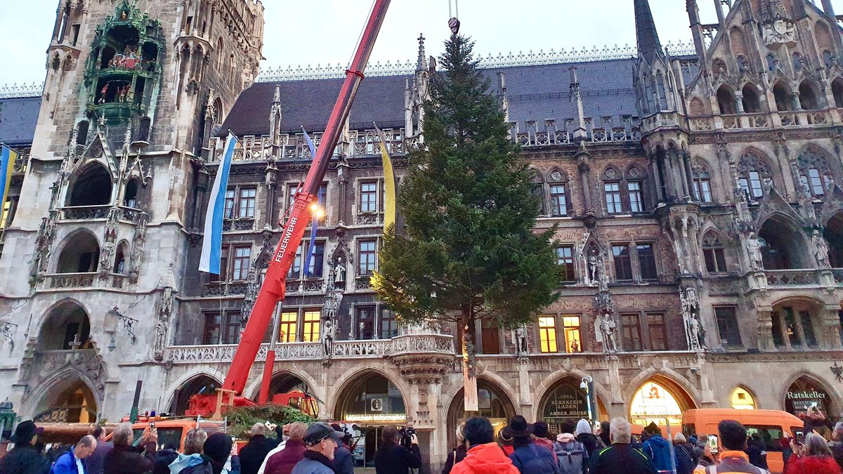 Der Christbaum vor dem Marienplatz wird aufgebaut.