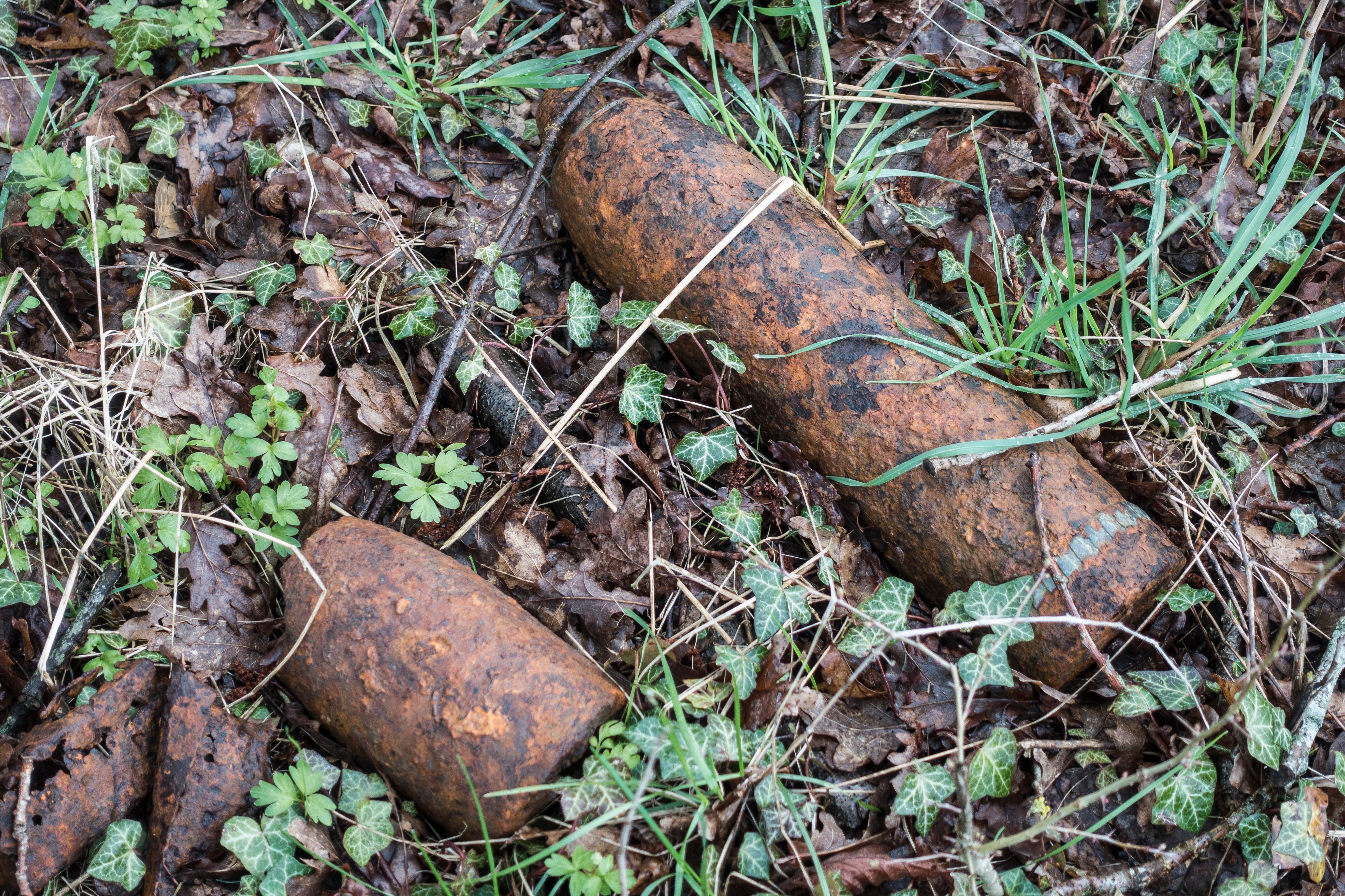 Anhöhe von Vauquois, Granaten im Gelände, Blindgänger, Erster Weltkrieg, bei Verdun, Vauquois, Grand Est, Frankreich, Europa