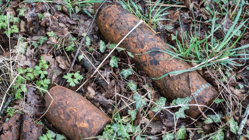 Anhöhe von Vauquois, Granaten im Gelände, Blindgänger, Erster Weltkrieg, bei Verdun, Vauquois, Grand Est, Frankreich, Europa | Bild: picture alliance / imageBROKER | Harald Wenzel-Orf Anhöhe von Vauquois, Granaten im Gelände, Blindgänger, Erster Weltkrieg, bei Verdun, Vauquois, Grand Est, Frankreich, Europa