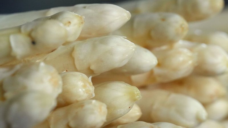 Weißer Spargel liegt im Bündel. Zu sehen sind nur die Köpfe. | Bild: dpa-Bildfunk/Soeren Stache Weißer Spargel liegt im Bündel. Zu sehen sind nur die Köpfe.