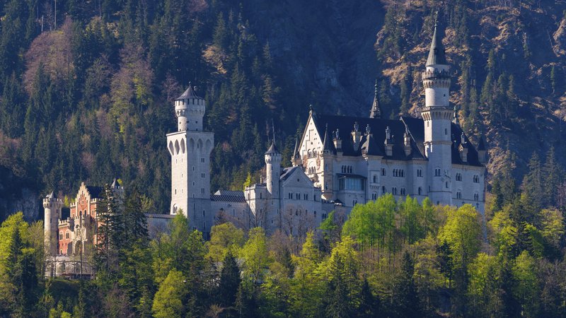 Schloss Neuschwanstein | Bild: picture alliance / imageBROKER | Lilly Schloss Neuschwanstein