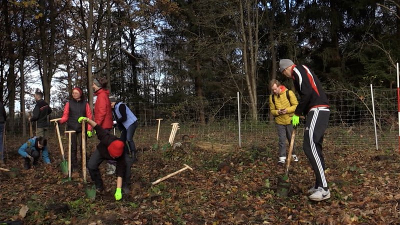Der Wald der Zukunft | Bild: BR Der Wald der Zukunft