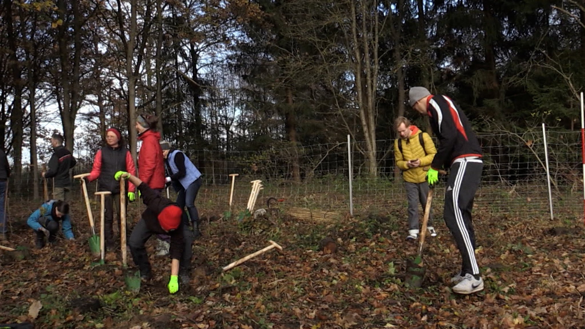 Der Wald der Zukunft