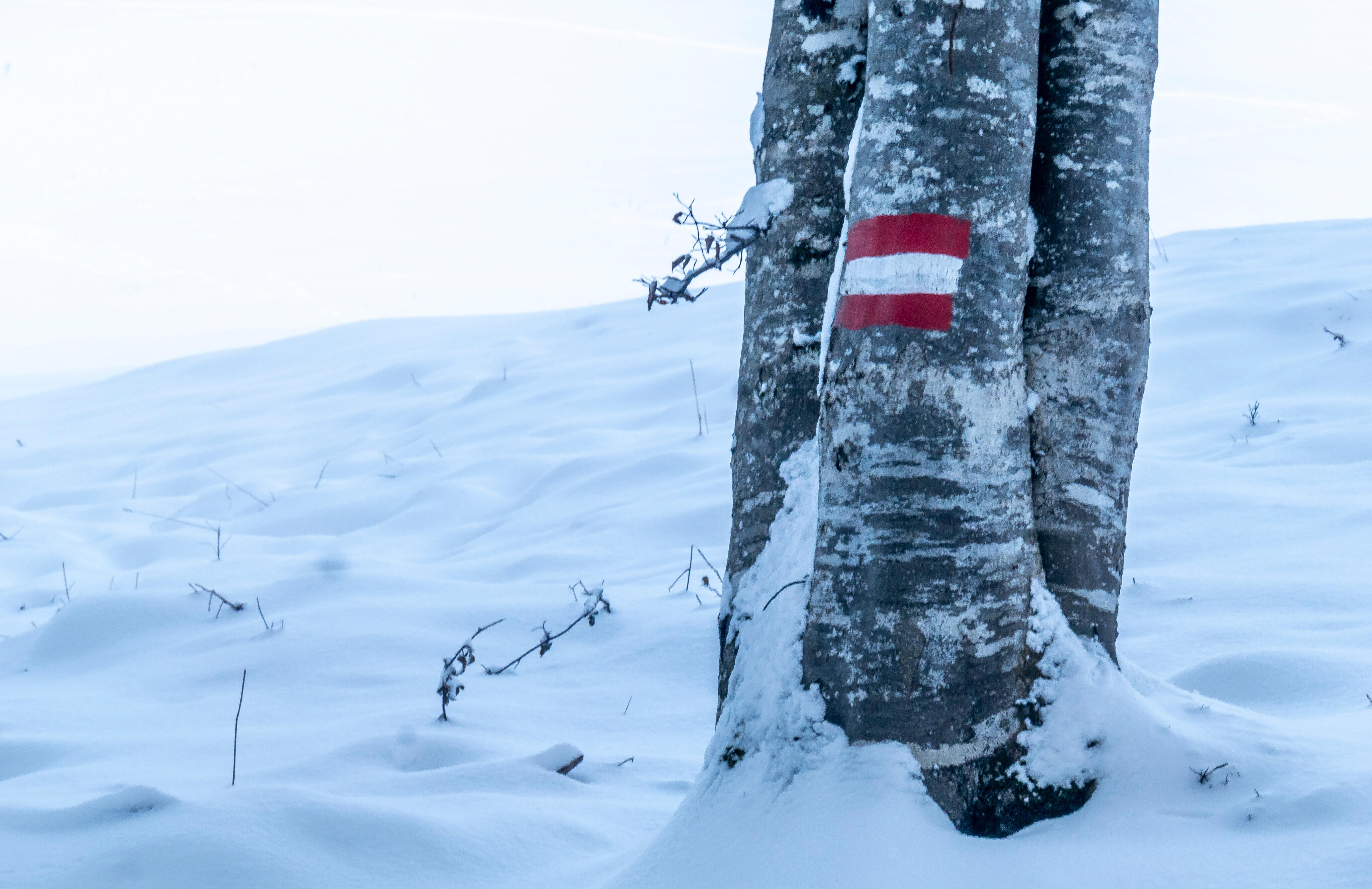 Winterliche Bedingungen in den Bergen