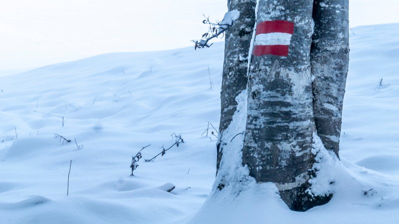Winterliche Bedingungen in den Bergen | Bild: pa/dpa/patrick-reinig.com Winterliche Bedingungen in den Bergen