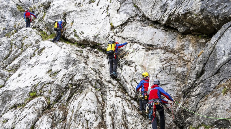 Bergretter der Bergwacht Bayern klettern an einer steilen Felswand am Hohen Göll in den Berchtesgadener Alpen. | Bild: picture alliance Bergretter der Bergwacht Bayern klettern an einer steilen Felswand am Hohen Göll in den Berchtesgadener Alpen.