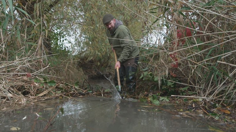 André Holzinger im Retzenbach am Biberdamm | Bild: BR André Holzinger im Retzenbach am Biberdamm