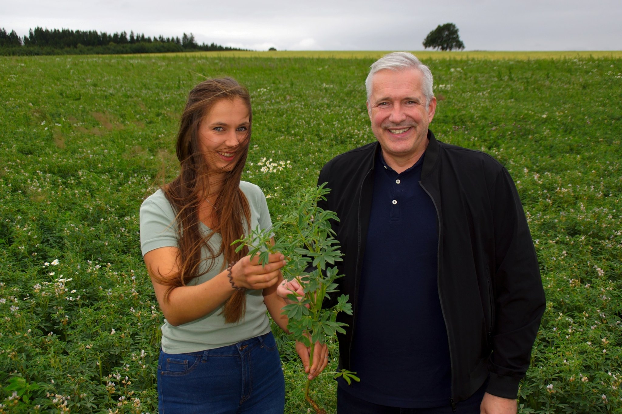 Eiweißreiche Lupinen und ein prächtiges Mohnfeld