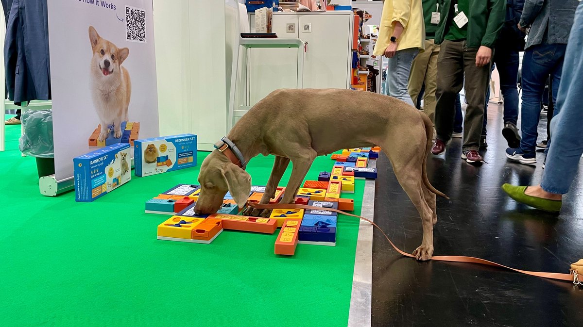 Ein Hund spielt auf der Interzoo-Messe mit einem Spielzeug.