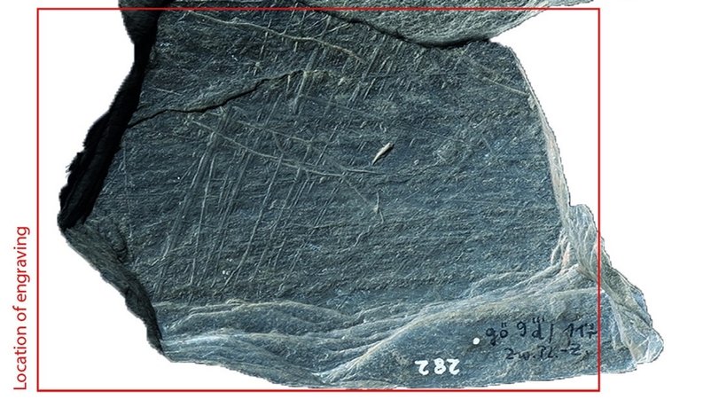 Schieferplatte mit eingraviertem Fisch und dann einem Netz aus Linien. | Bild: Robitaille et al., 2024, PLOS ONE, CC-BY 4.0 Schieferplatte mit eingraviertem Fisch und dann einem Netz aus Linien.