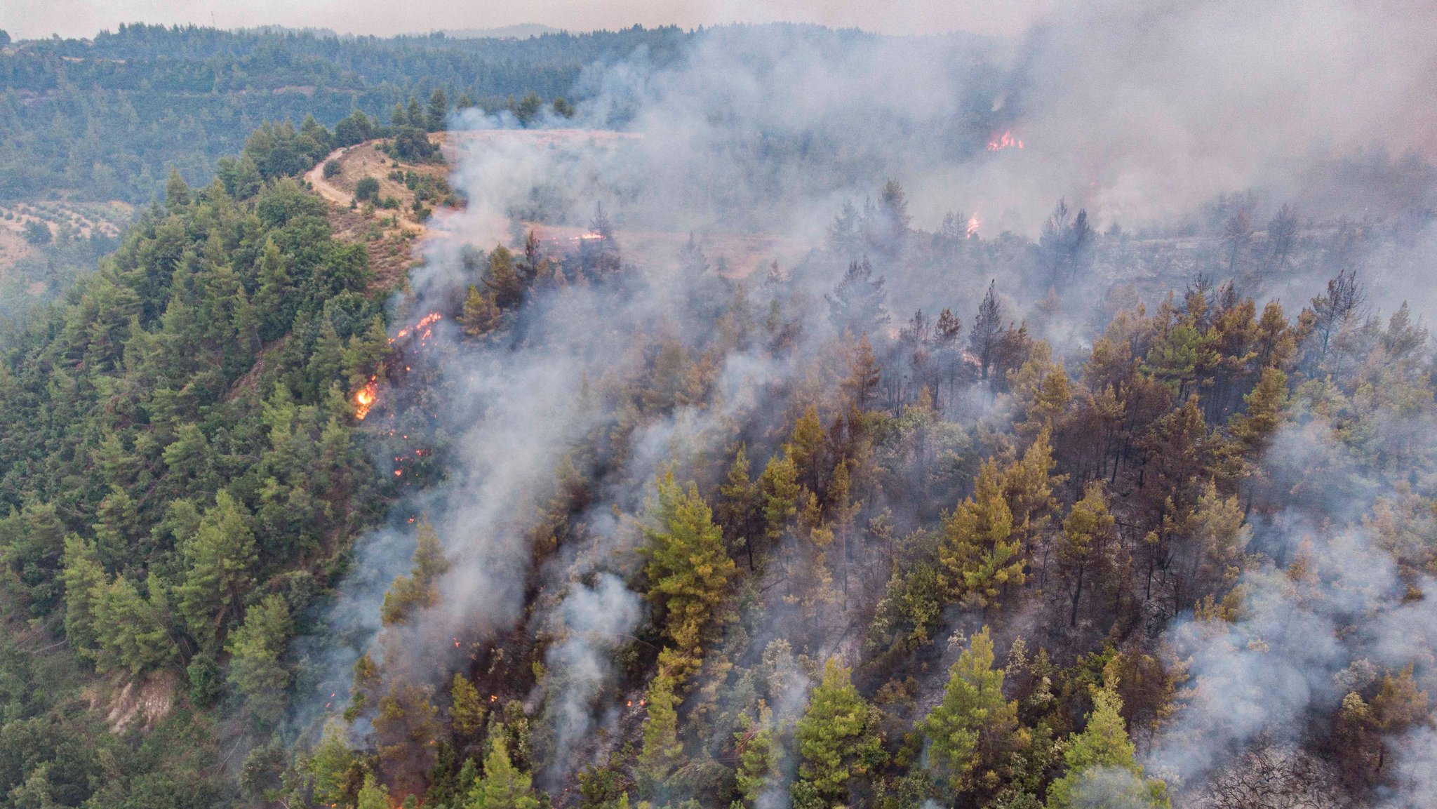 Waldbränden auf der griechischen Insel Euböa.