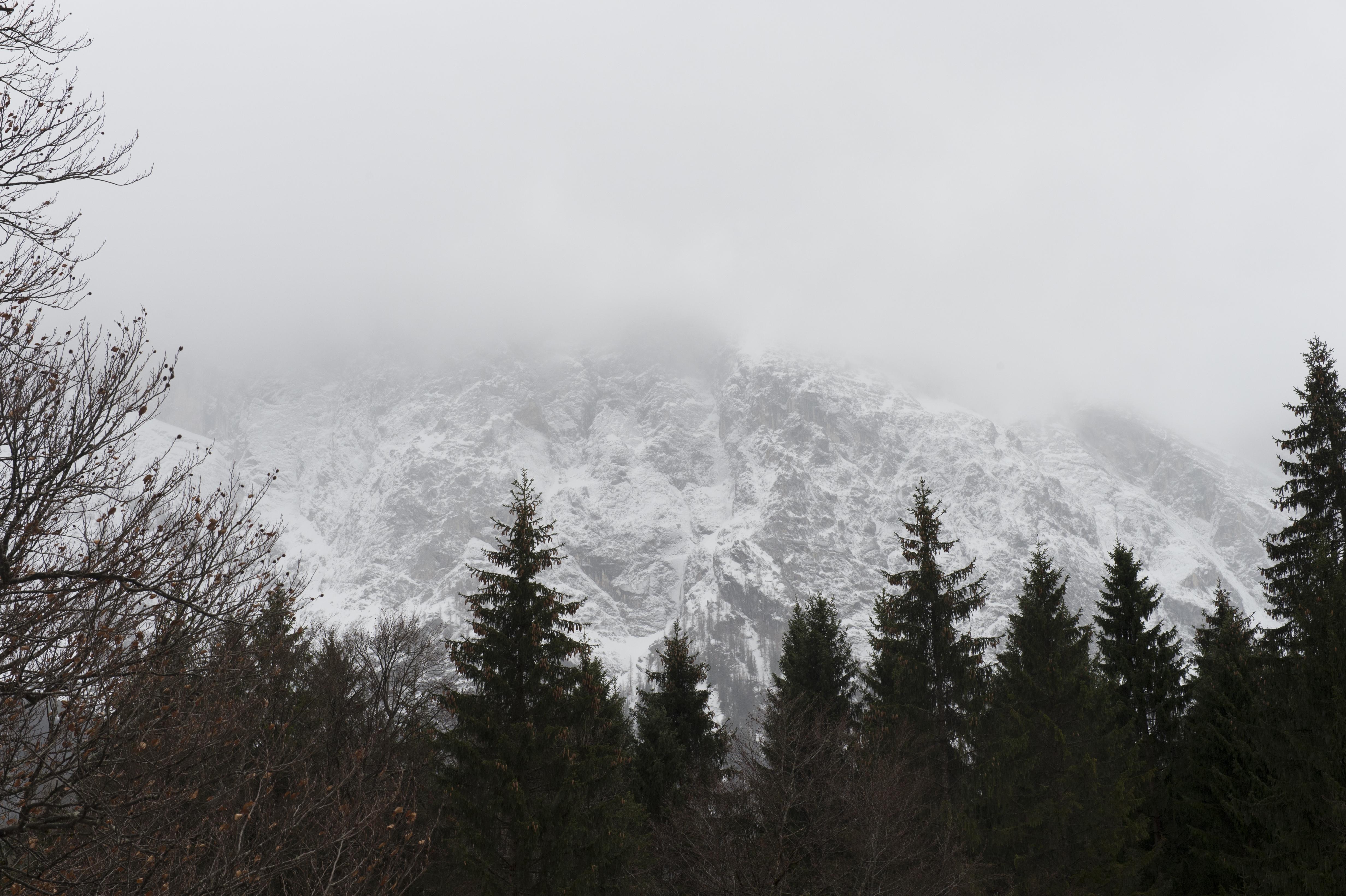 Der verhüllte Gipfel der Zugspitze, aufgenommen bei starkem Schneetreiben. | Bild:picture alliance/dpa/Felix Hörhager