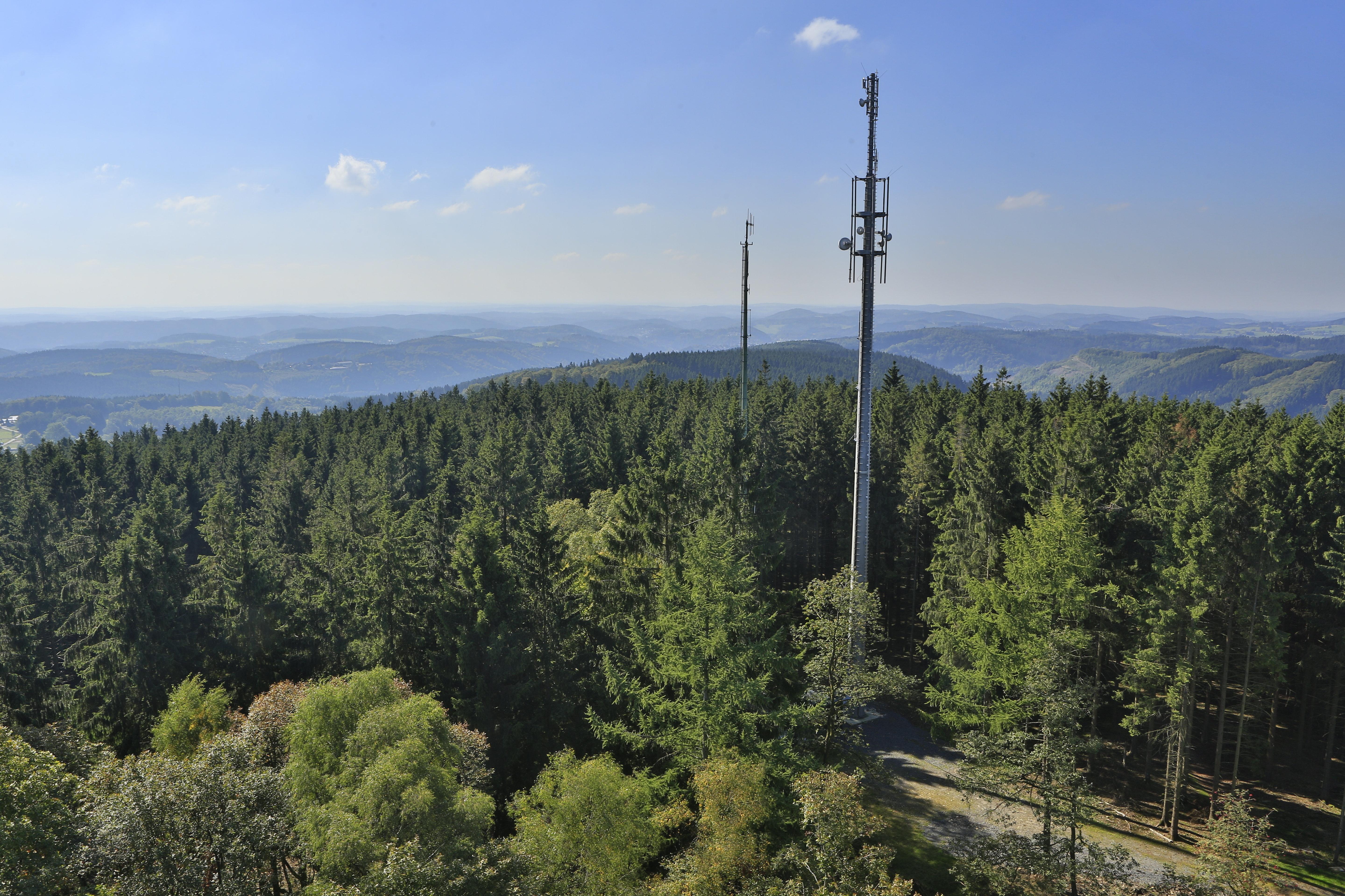 Handymast steht im Wald