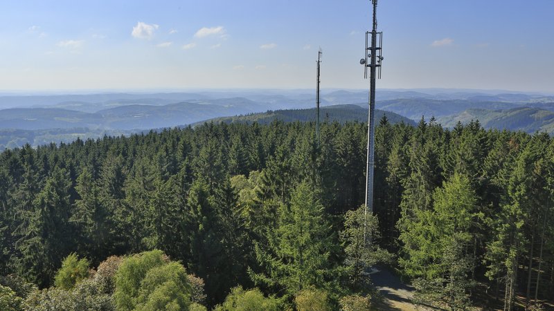 Handymast steht im Wald | Bild: picture alliance / Jens Schmitz Handymast steht im Wald