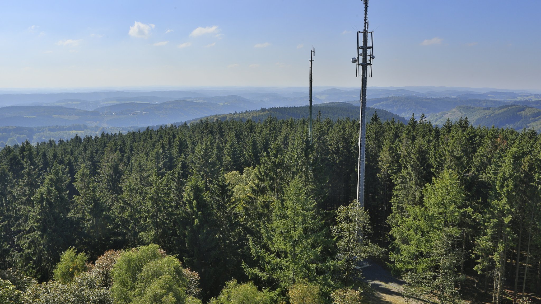 Handymast steht im Wald