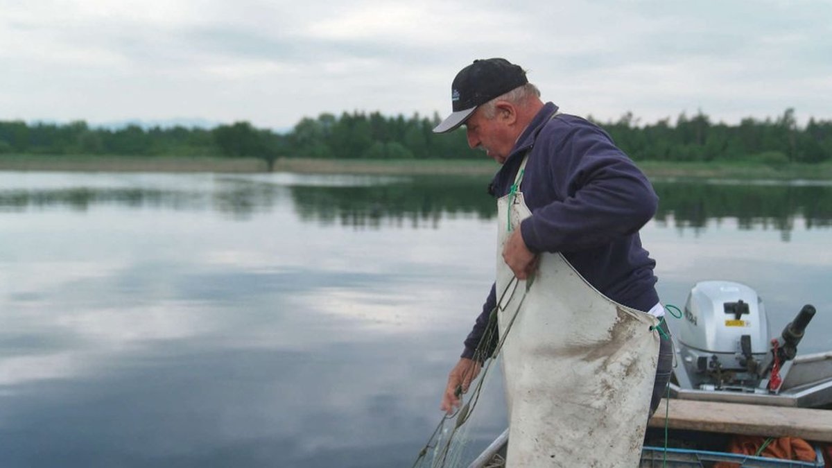 Thomas Sandbichler ist Fischer am Simssee