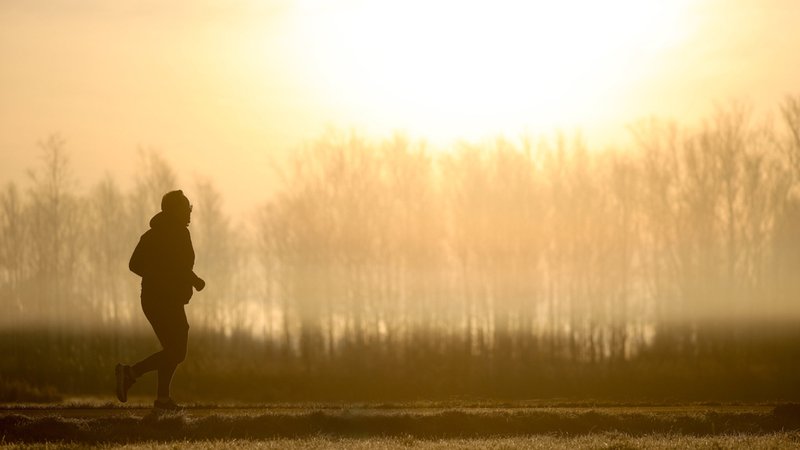Ein Jogger ist am Morgen im Gegenlicht der Sonne unterwegs, während sich der Himmel durch Saharastaub gelb verfärbt hat. | Bild: dpa-Bildfunk/Thomas Warnack Ein Jogger ist am Morgen im Gegenlicht der Sonne unterwegs, während sich der Himmel durch Saharastaub gelb verfärbt hat.