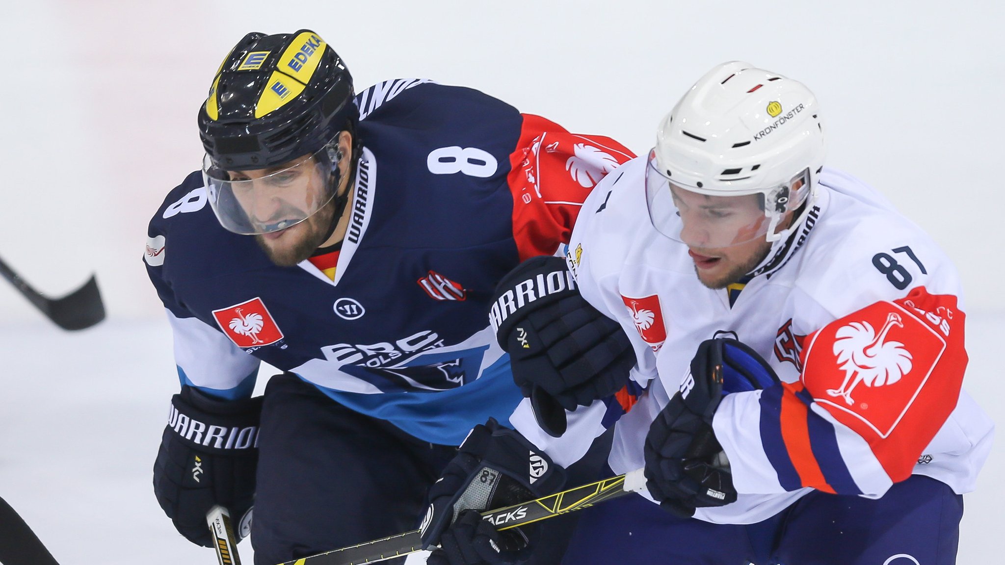 Ingolstadt Panther gegen Växjö Lakers (rechts)