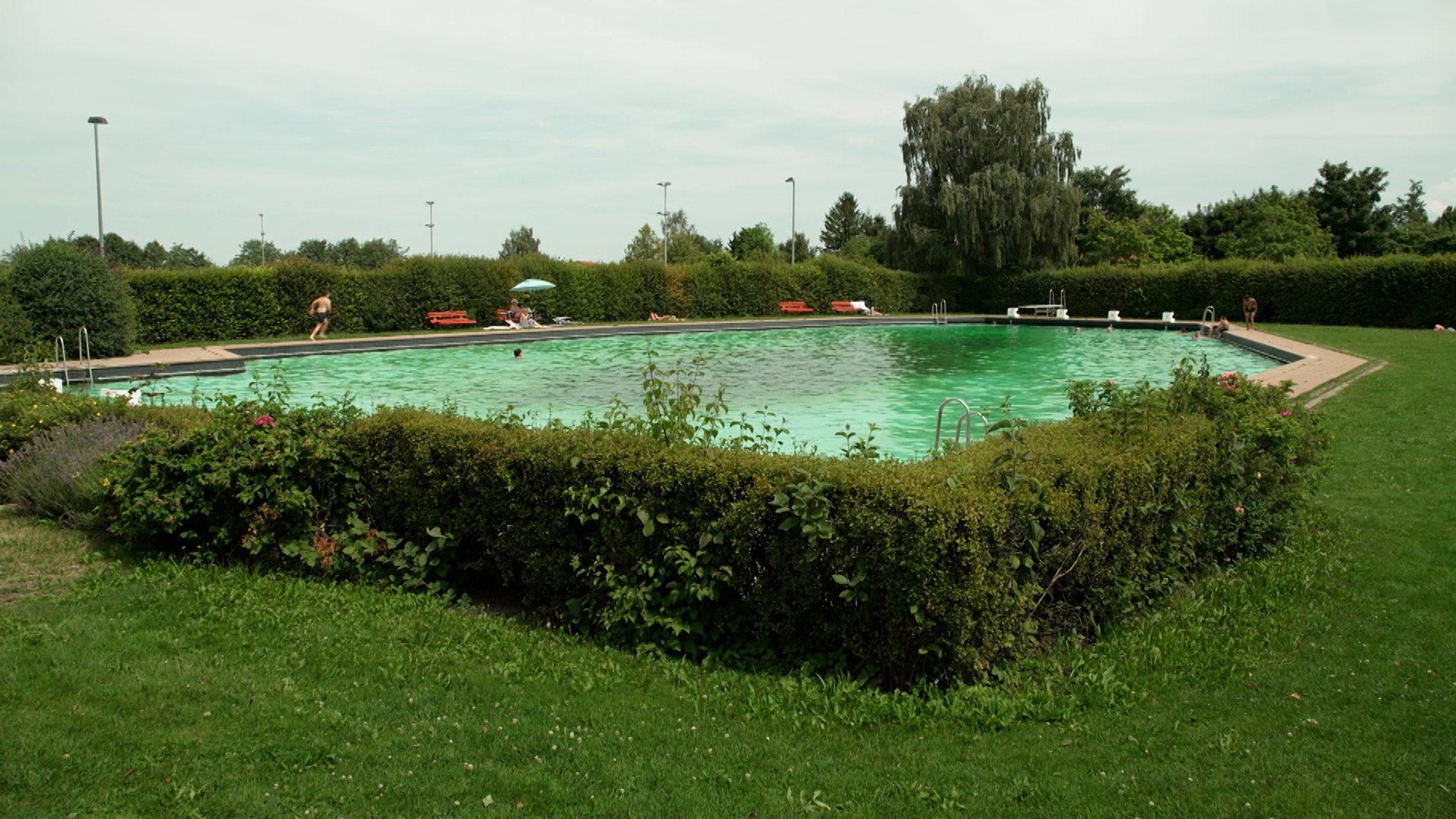 Das 50-Meter-Becken im Wiggensbacher Freibad. | Bild: BR24 Das 50-Meter-Becken im Wiggensbacher Freibad.