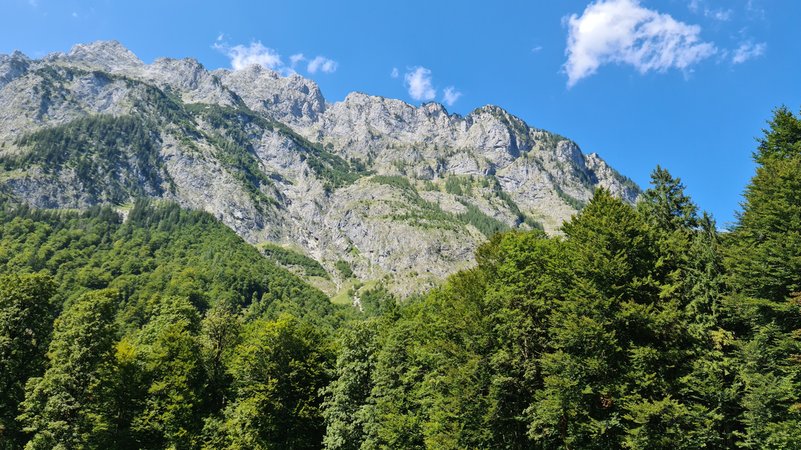 Bergwald am Watzmann | Bild: BR/Monika Haas Bergwald am Watzmann