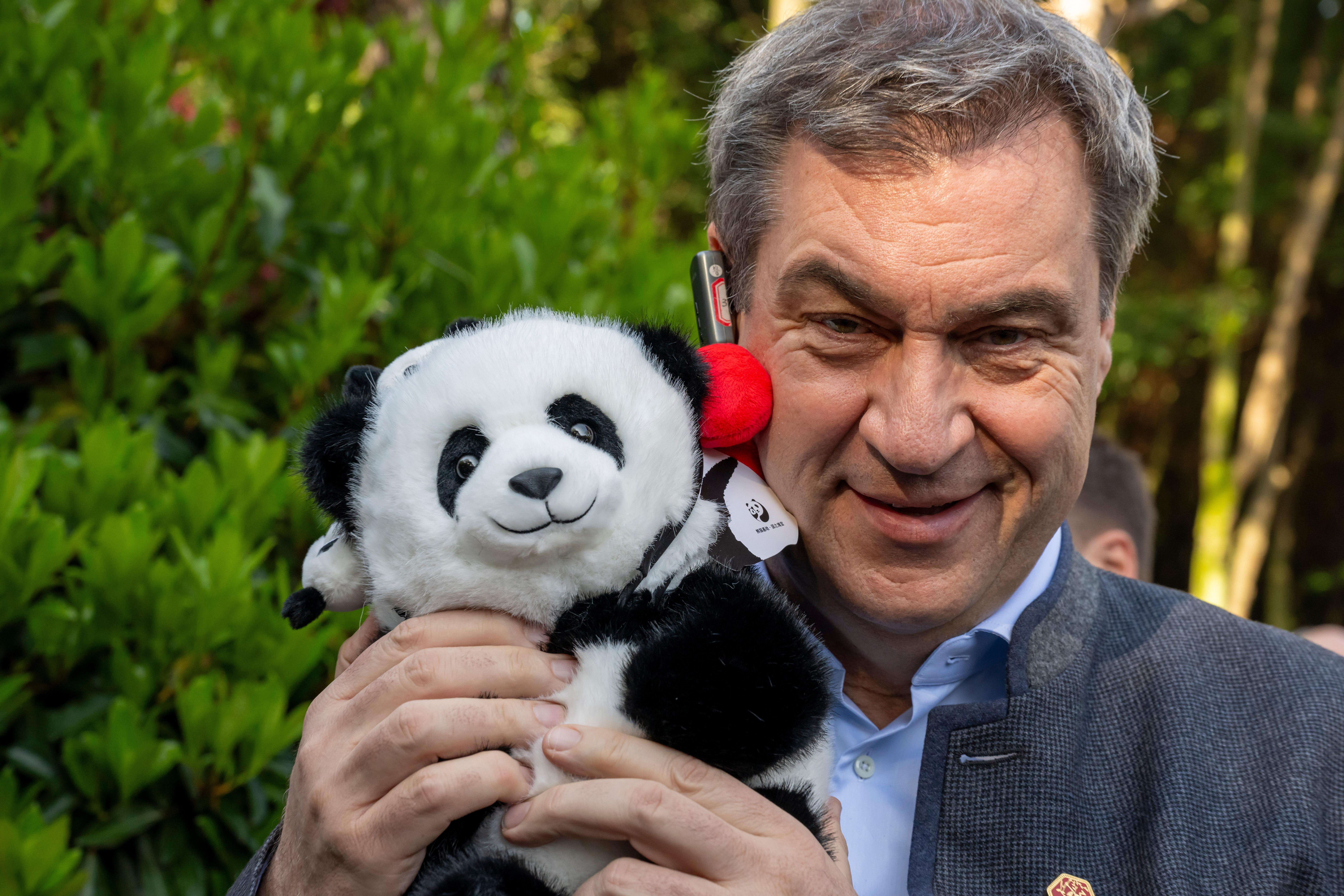 Markus Söder hält bei seinem Besuch des Chengdu Research Base of Giant Panda Breeding ein geschenkten Panda-Plüschbär im Arm