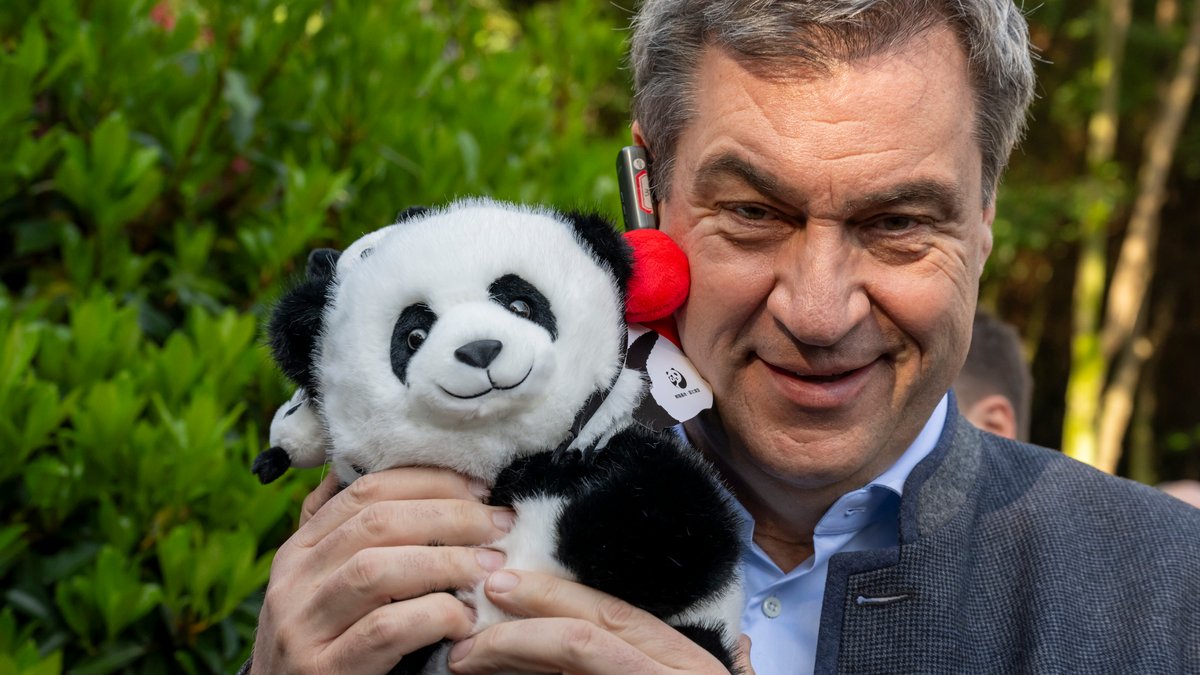 Markus Söder hält bei seinem Besuch des Chengdu Research Base of Giant Panda Breeding ein geschenkten Panda-Plüschbär im Arm