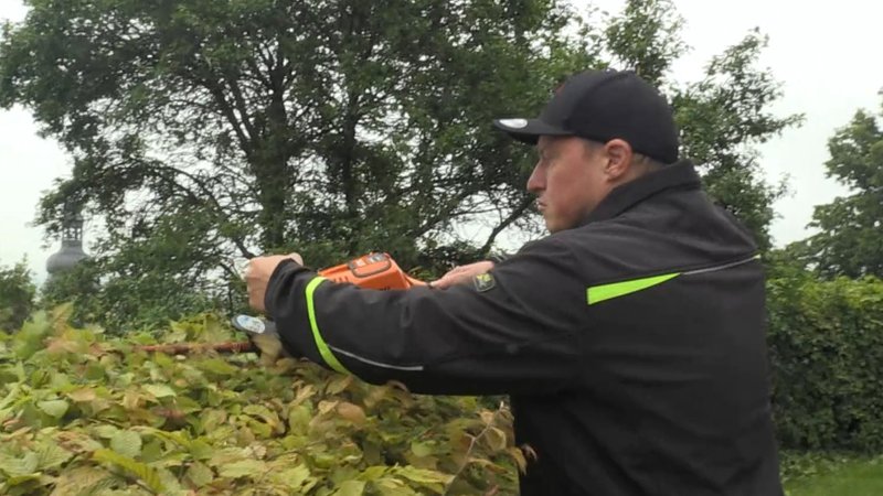 Stefan Hahn trimmt einen Busch. | Bild: BR Stefan Hahn trimmt einen Busch.