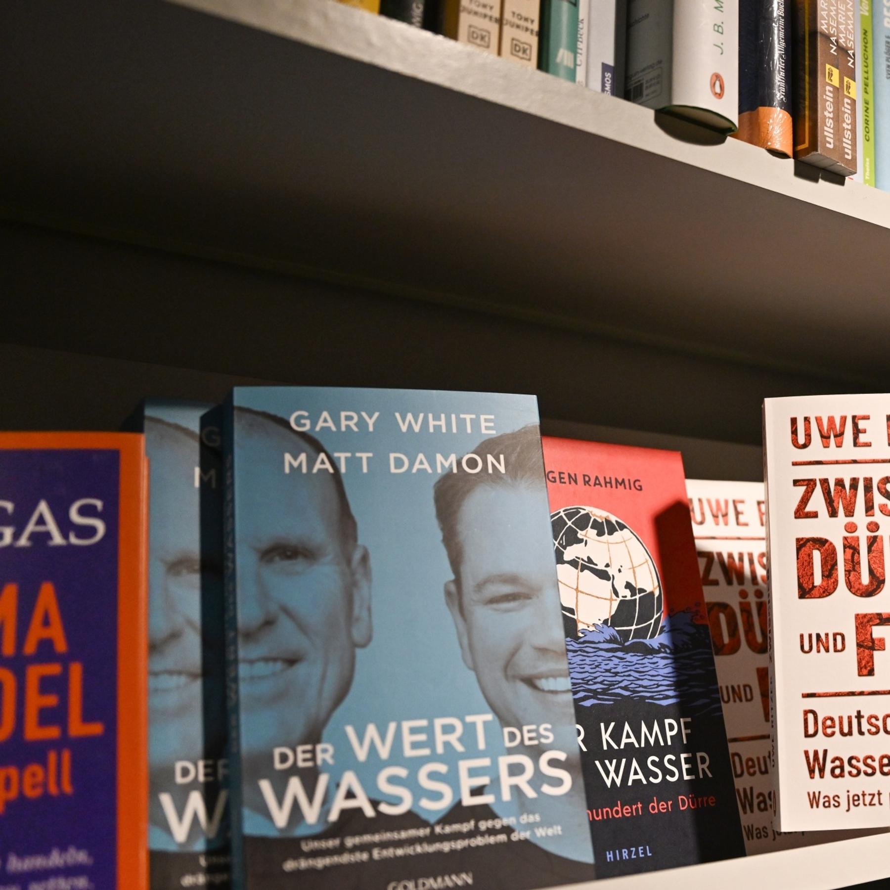 Der Meeresspiegel steigt - der Bücherberg auch