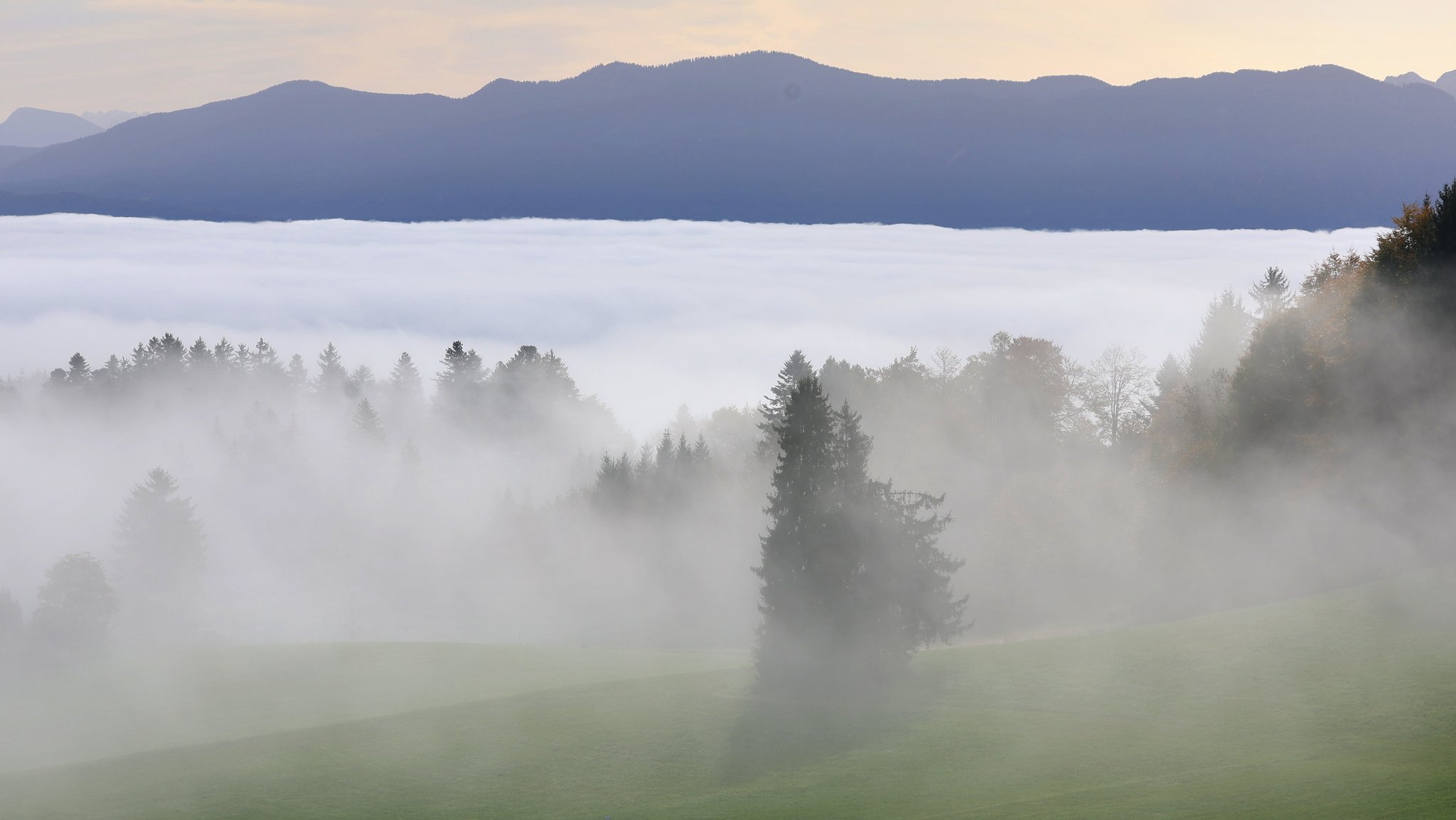 Nebel ist über der bayerischen Landschaft bei Stötten im Allgäu vor dem Panorama der Alpen zu sehen.