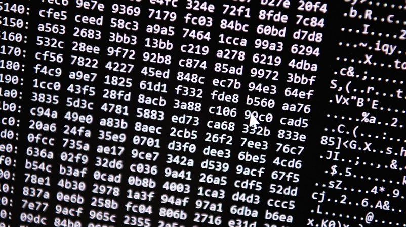 (Symbolbild) "Pig-Butchering": Täter werde teilweise zum Betrug gezwungen. | Bild: dpa-Bildfunk/Nicolas Armer (Symbolbild) "Pig-Butchering": Täter werde teilweise zum Betrug gezwungen.