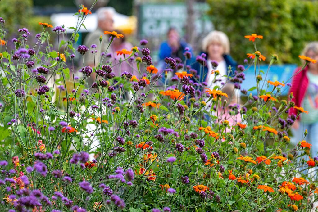 Blumen und Besucherinnen und Besucher auf der Landesgartenschau in Freyung