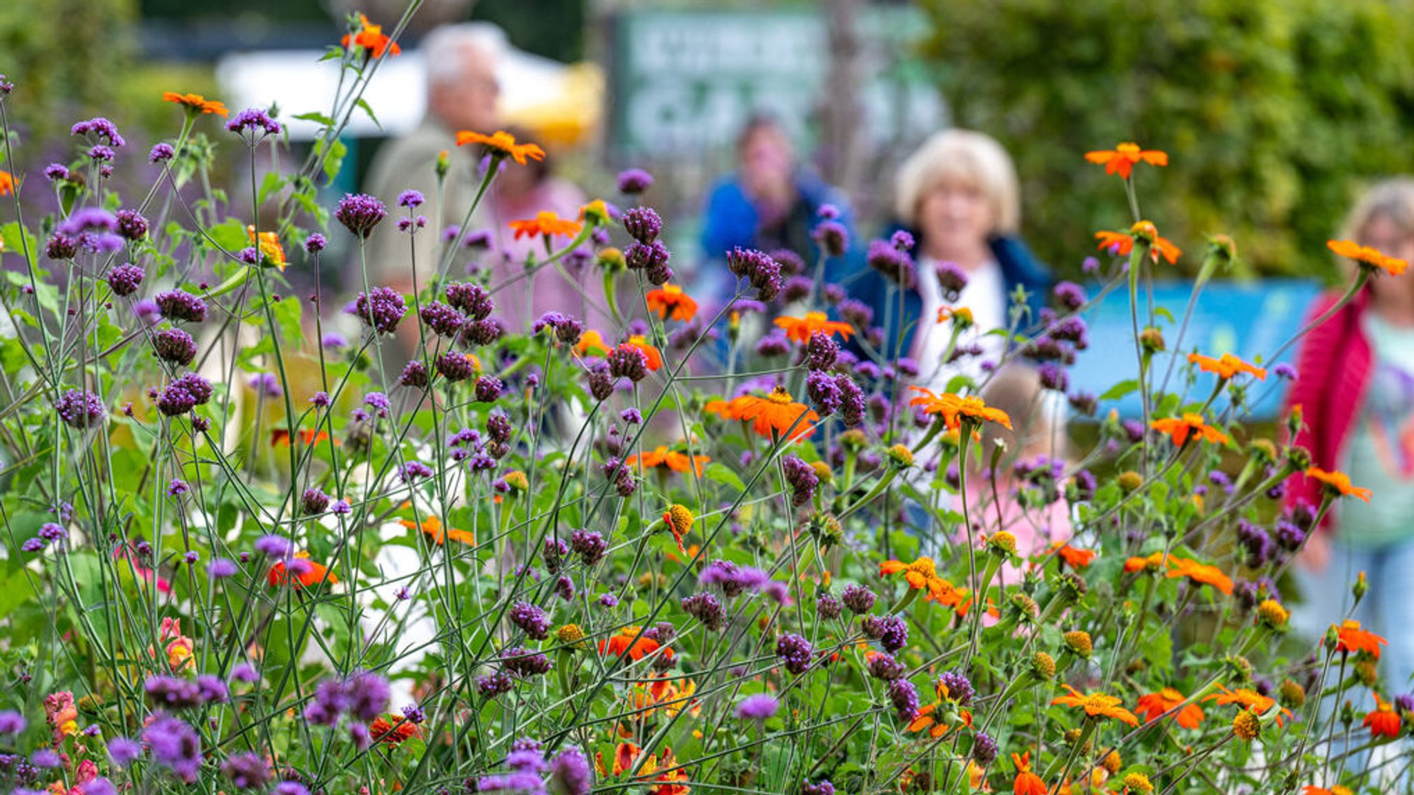 Blumen und Besucherinnen und Besucher auf der Landesgartenschau in Freyung