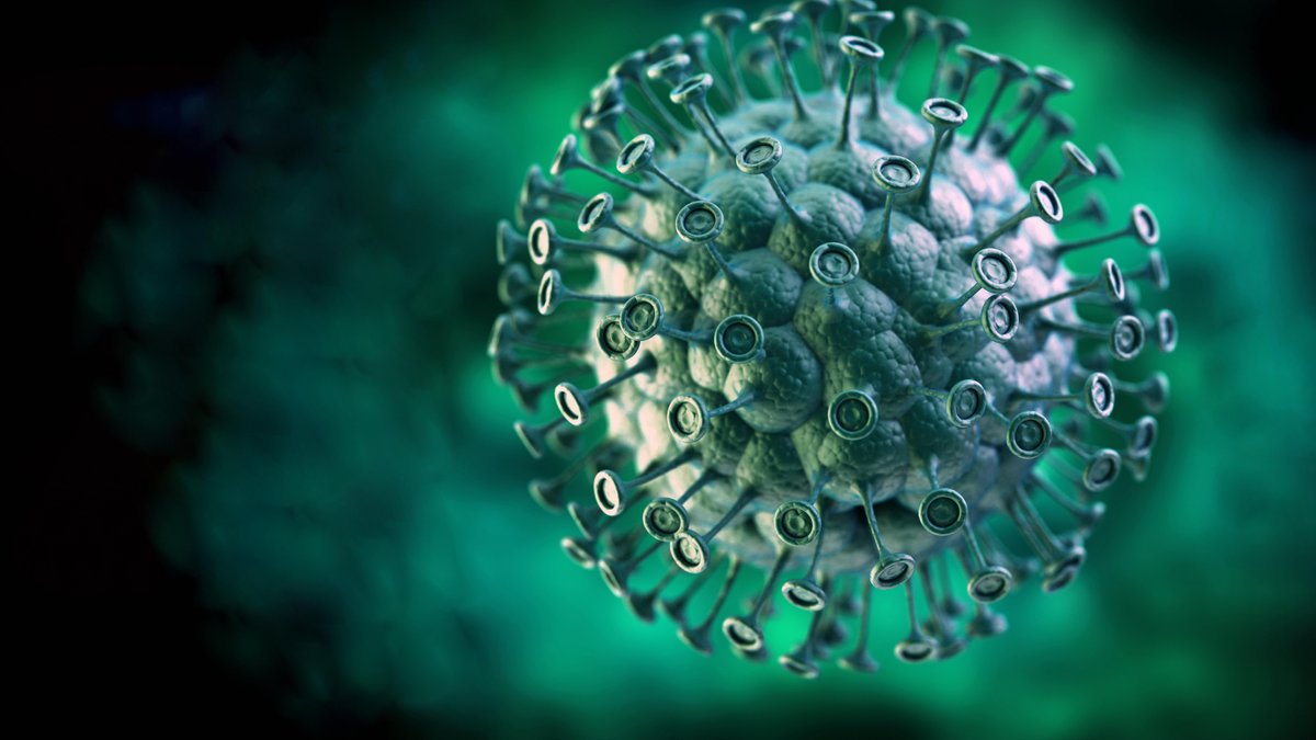 Atemwegserkrankung: Entwarnung bei hMP-Virus