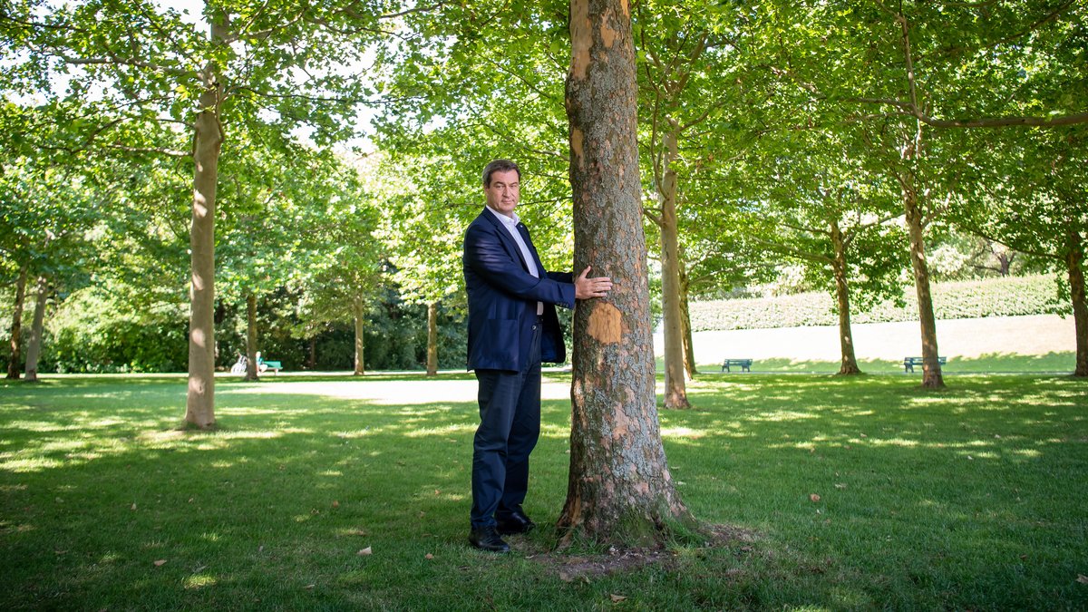 Markus Söder (CSU), Ministerpräsident von Bayern, umarmt bei einem Pressegespräch 2019 symbolisch einen Baum.