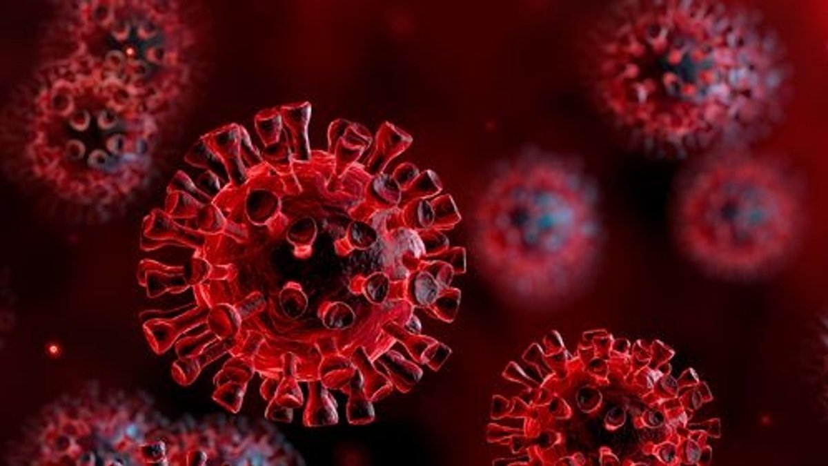 Rot eingefärbte Viren, betrachtet unter dem Mikroskop.