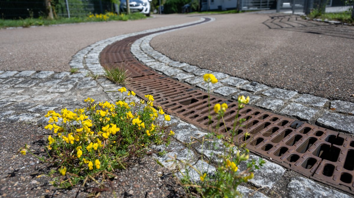 In einem Wohngebiet läuft die Regenrinne mitten in der Straße. Die Stadt Neu-Ulm versucht bei Bauprojekten dafür zu sorgen, dass das Regenwasser von versiegelten Flächen möglichst nah im Grundboden versickert, wo es wie von einem Schwamm aufgesaugt wird.