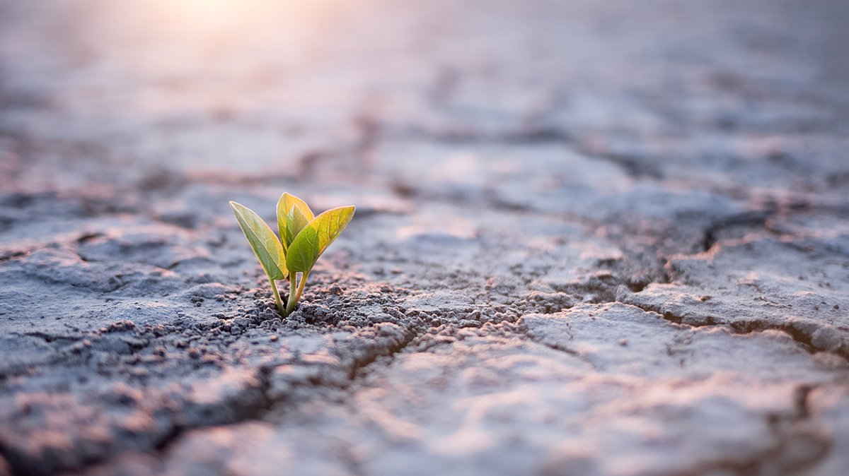 EU-Klimaforscher: Zweitwärmster April seit Messbeginn 