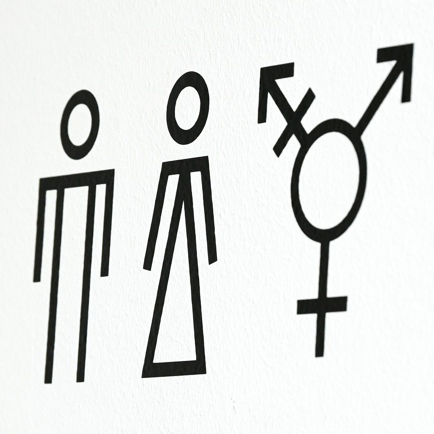 Feminismus und die Dekonstruktion der Zweigeschlechtlichkeit episode artwork