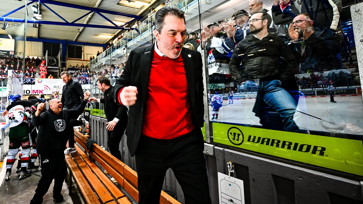 Panther-Neustart: Wie Larry Mitchell ein Trainer-Coup gelang